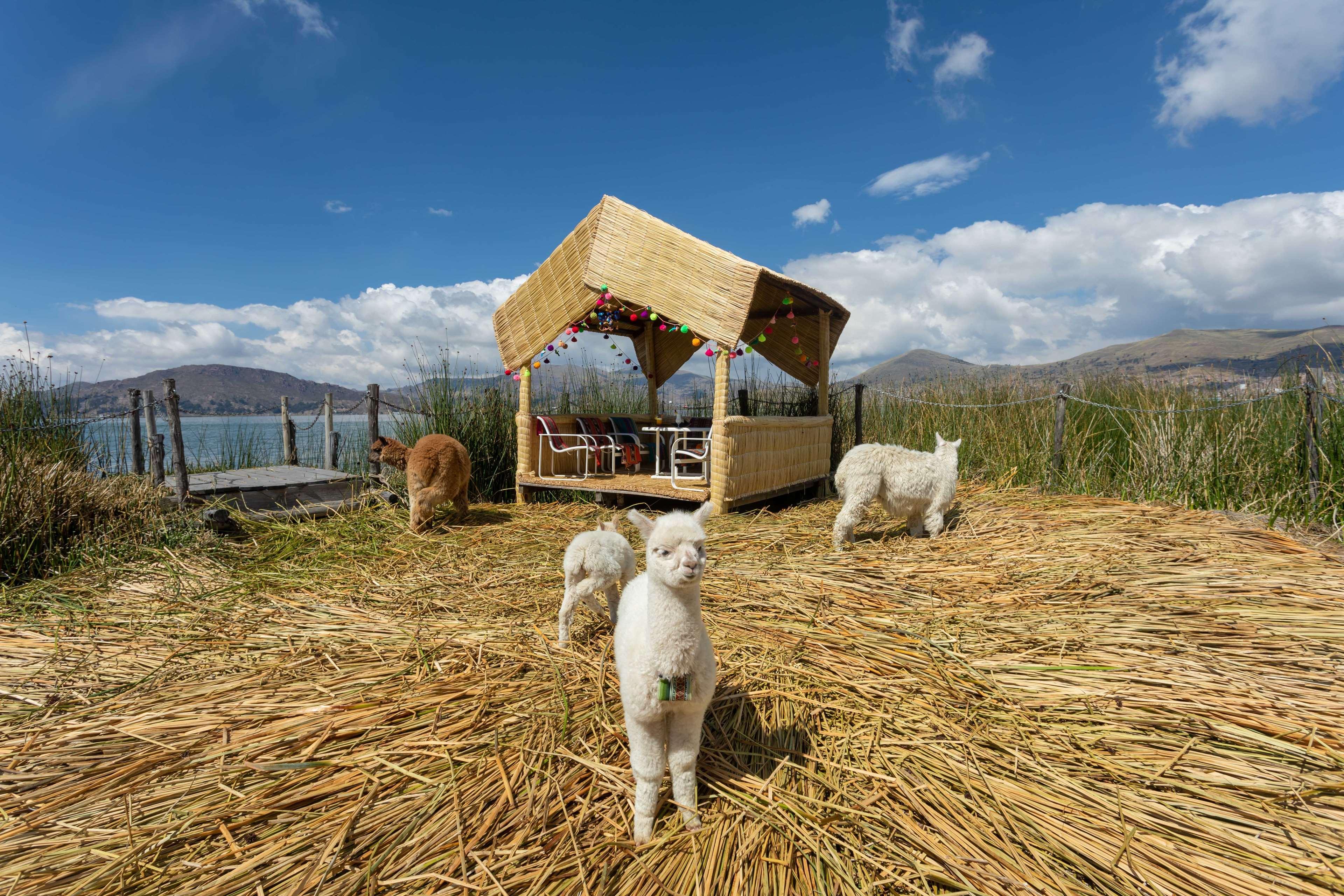 Sonesta Posadas Del Inca Puno Exteriér fotografie